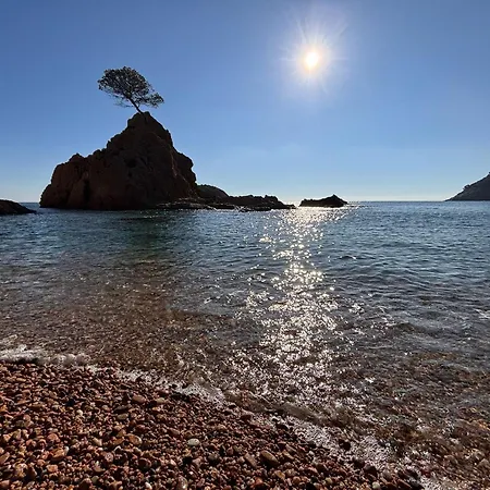 Mediterraneo Casa de vacances Tossa de Mar